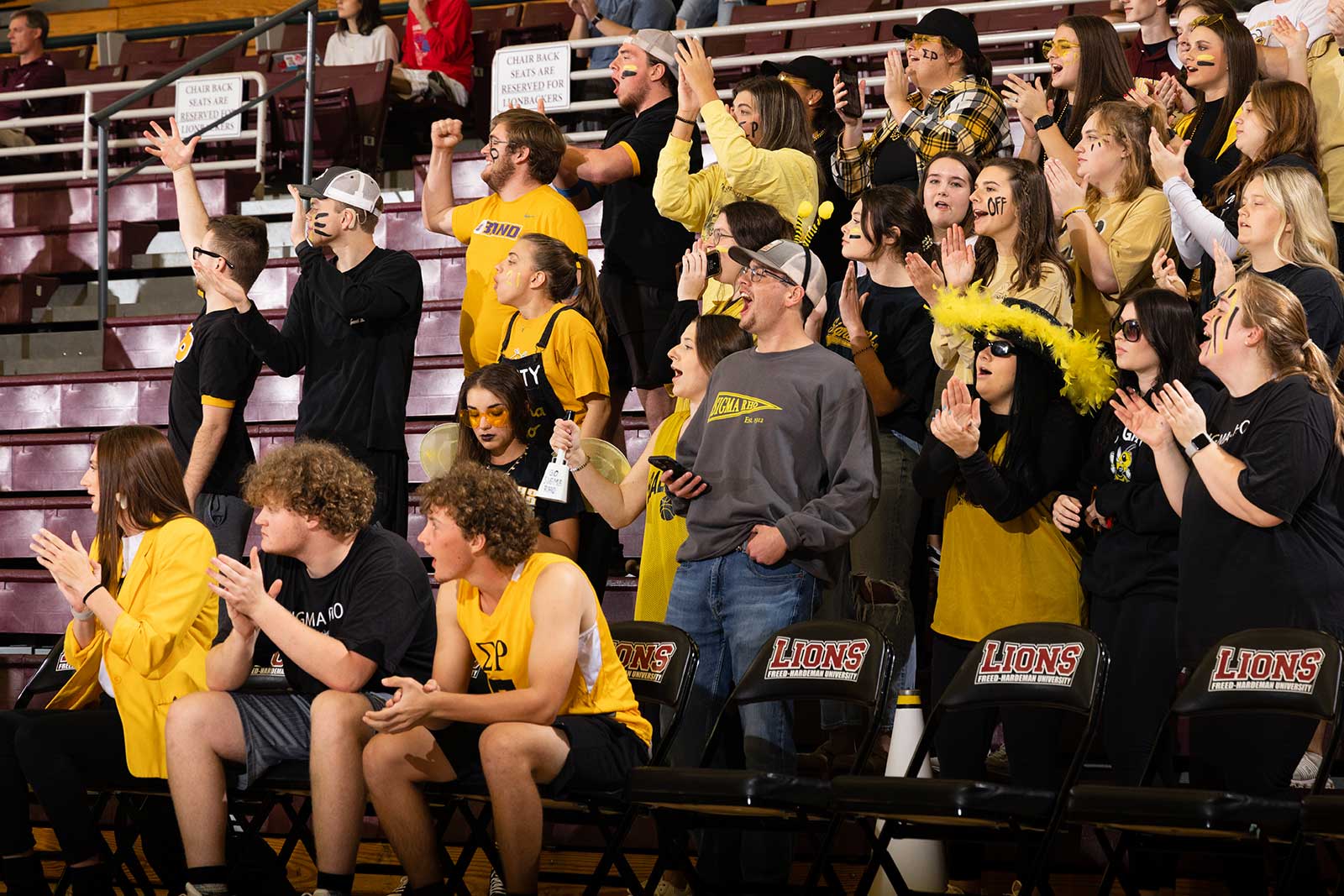 fans cheering in stands